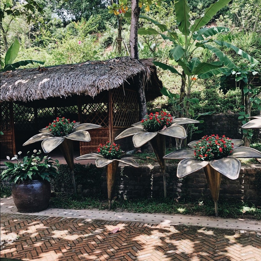 Meet your Posher, Tina